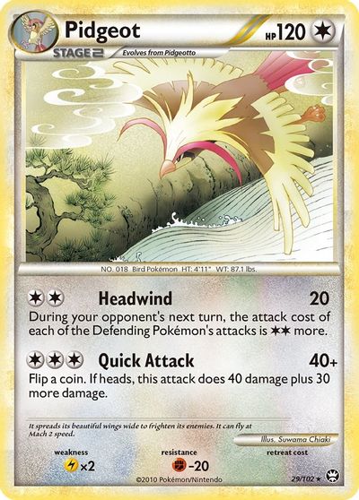 Pidgeot #29