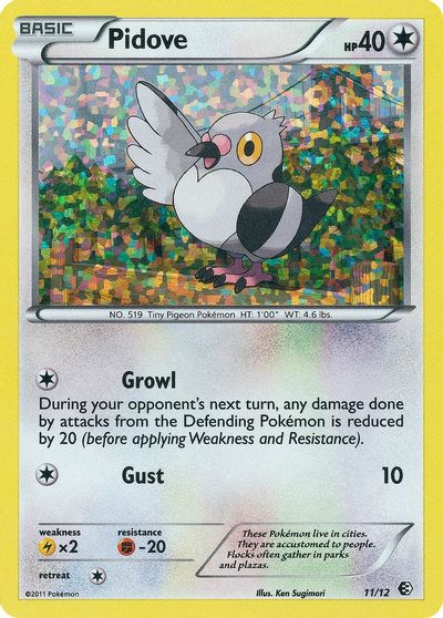 Pidove #11