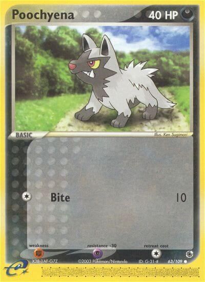 Poochyena #63