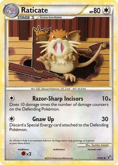 Raticate #34