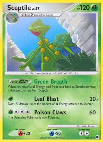 Sceptile [Reverse Holo] #30