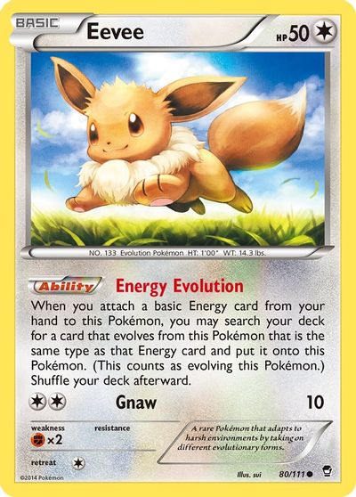 Eevee #80
