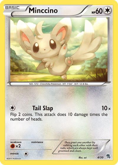 Minccino #4