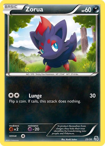Zorua #23