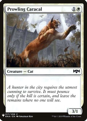 Prowling Caracal {1}{W}, Creature - Cat, 3/1