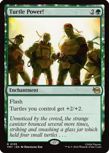 Turtle Power! - Teenage Mutant Ninja Turtles