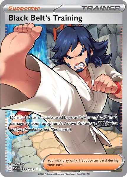 Black Belt's Training - Mega Evolução – Heróis Excelsos