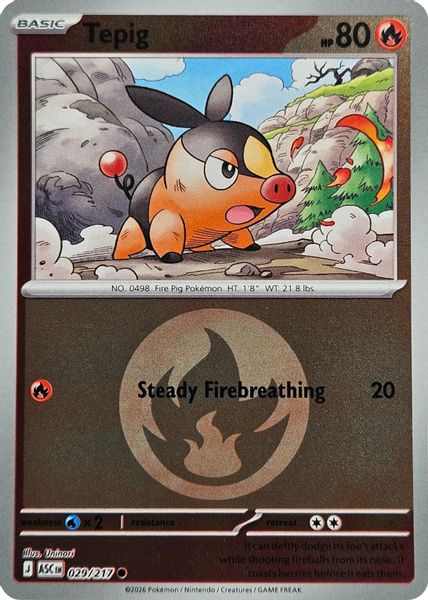 Tepig (Energy Symbol Pattern) - Mega Evolução – Heróis Excelsos
