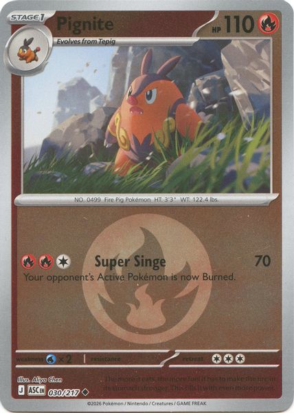 Pignite (Energy Symbol Pattern) - Mega Evolução – Heróis Excelsos
