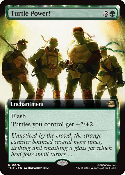 Turtle Power! (Extended Art) - Teenage Mutant Ninja Turtles