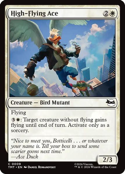 High-Flying Ace - Teenage Mutant Ninja Turtles