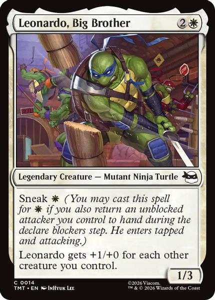 Leonardo, Big Brother - Teenage Mutant Ninja Turtles