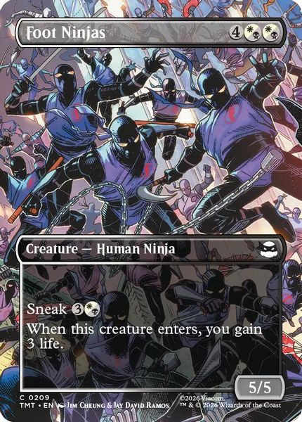 Foot Ninjas (Borderless) - Teenage Mutant Ninja Turtles