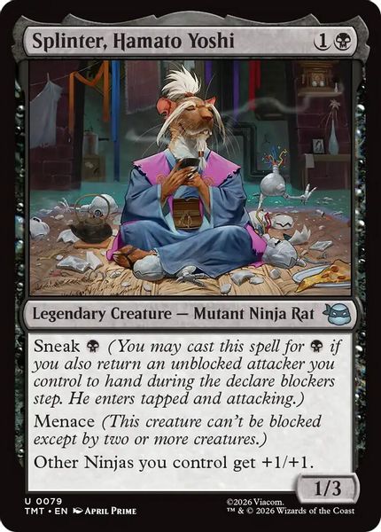 Splinter, Hamato Yoshi - Teenage Mutant Ninja Turtles
