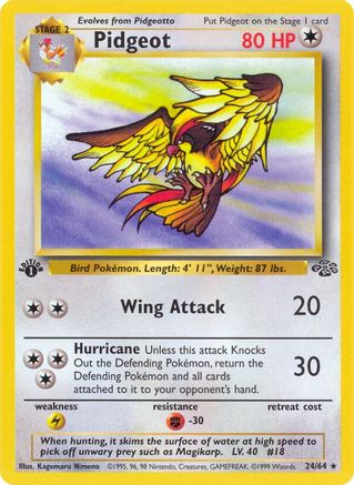 Jungle Pidgeot (24) #24