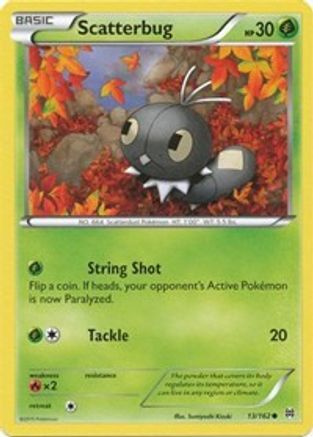 XY - BREAKthrough Scatterbug #13
