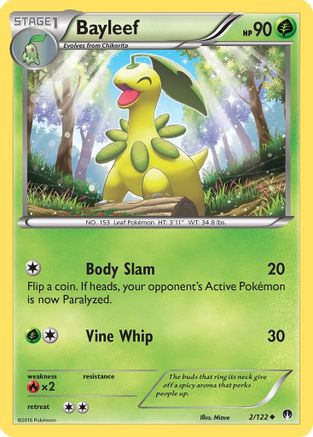 XY - BREAKpoint Bayleef #2