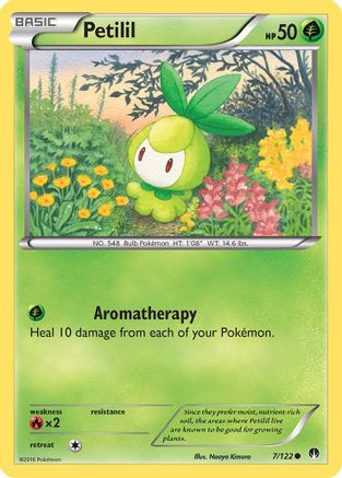 XY - BREAKpoint Petilil #7