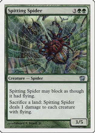 Spitting Spider