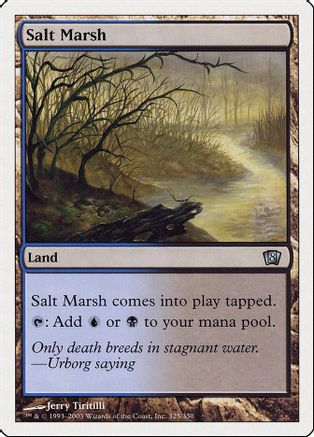 Salt Marsh