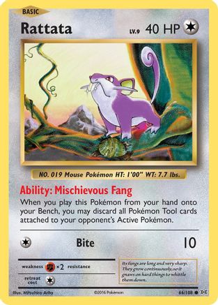 XY - Evolutions Rattata #66