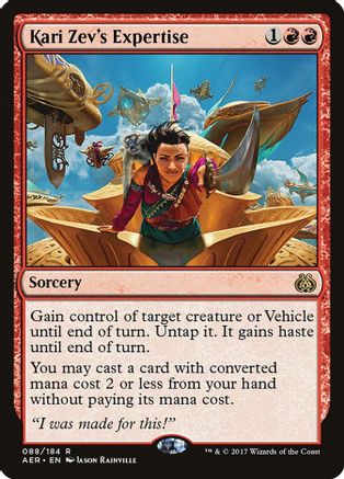 Kari Zev's Expertise