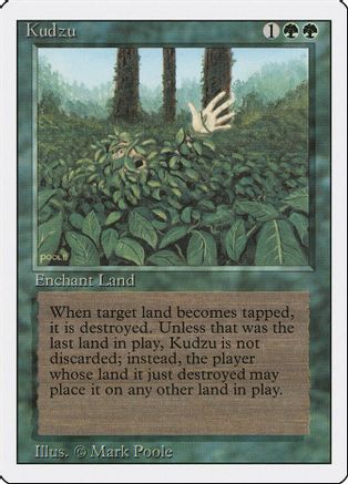 Kudzu