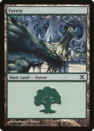 Forest (380)