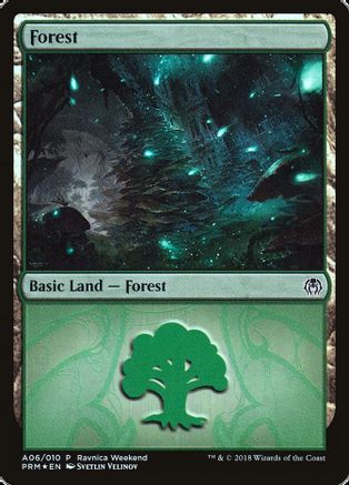 Forest - Golgari (A06)