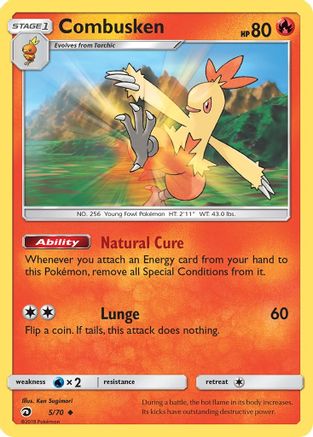 Dragon Majesty Combusken #5