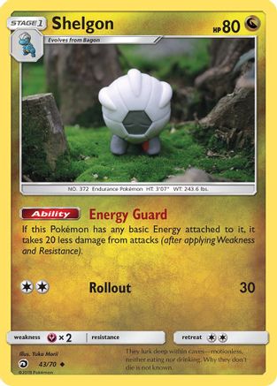 Dragon Majesty Shelgon #43