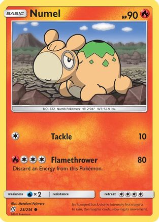 SM - Unified Minds Numel #23
