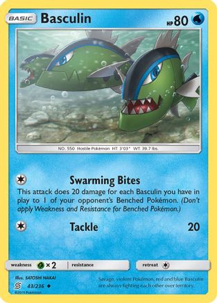 SM - Unified Minds Basculin #43