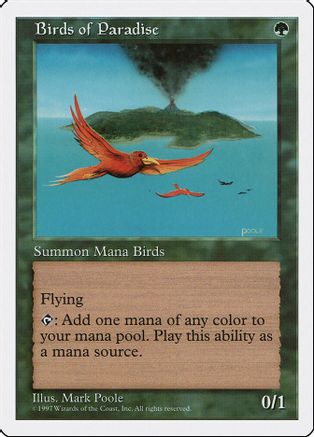 Birds of Paradise