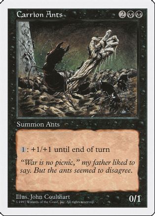 Carrion Ants