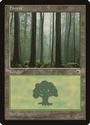 Forest (Ferns on Ground)
