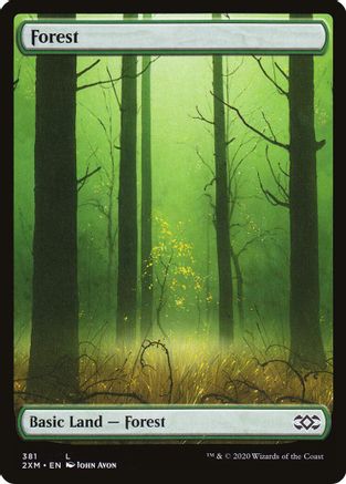 Forest (381)