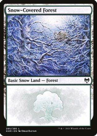 Snow-Covered Forest (285)