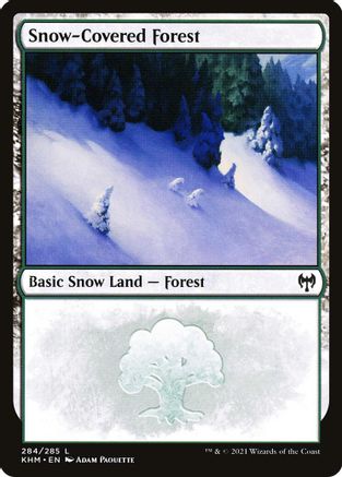 Snow-Covered Forest (284)