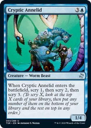 Cryptic Annelid