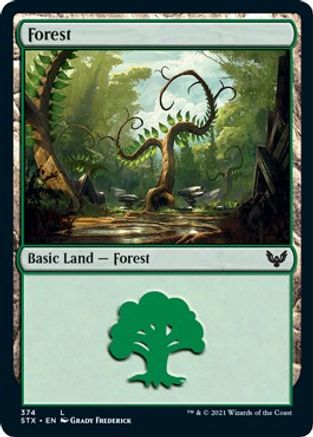 Forest (374)