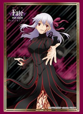 FATE STAY NIGHT Heaven's Feel Vol. 9 Japanese Language Anime Manga