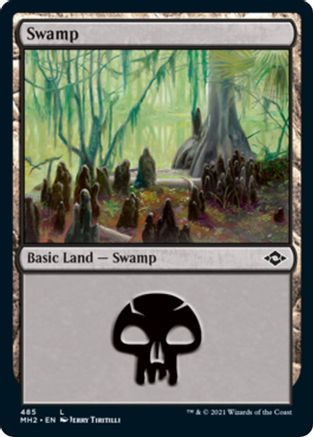 Details about   Magic The Gathering SWAMP 2ED V3 unlimited used card land MTG 