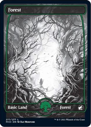 Forest (277)