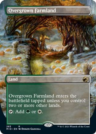 Overgrown Farmland (Borderless)