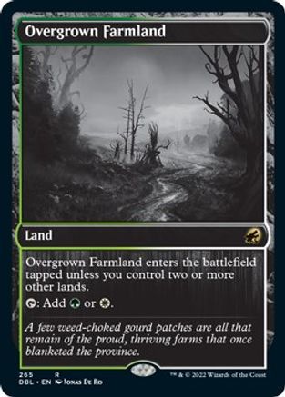 Overgrown Farmland