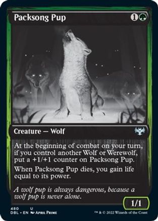 Packsong Pup