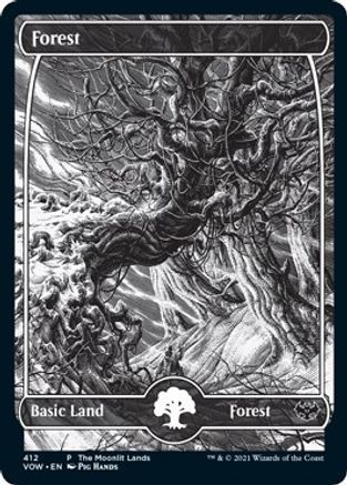 Forest (Moonlit Land) (Foil Etched)