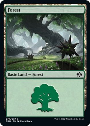 Forest (277)