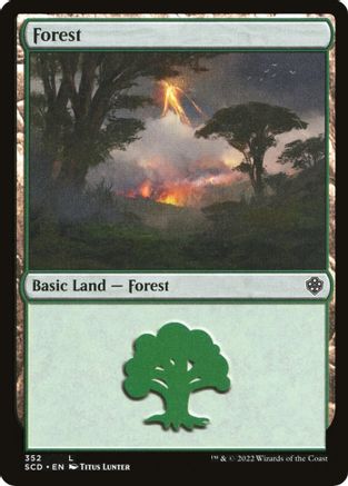 Forest (352)